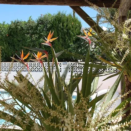 Sorriso Praia Da Luz